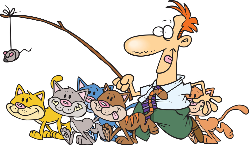 Image result for herding cats project management
